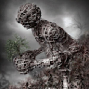 Meet your Posher, Dave